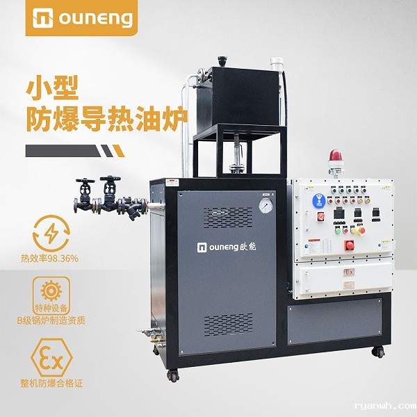 小型防爆导热油炉