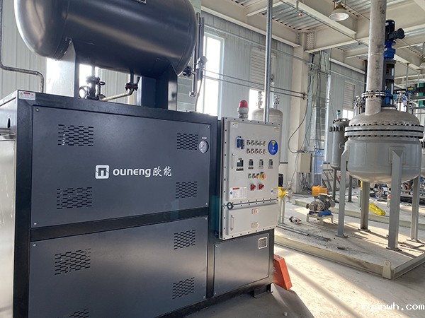 防爆导热油炉电加热器