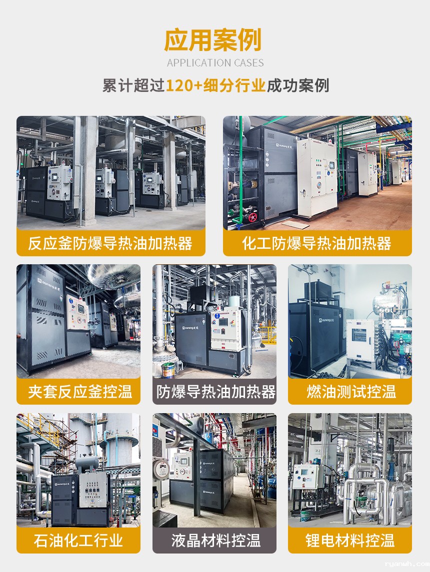 高温防爆导热油炉案例