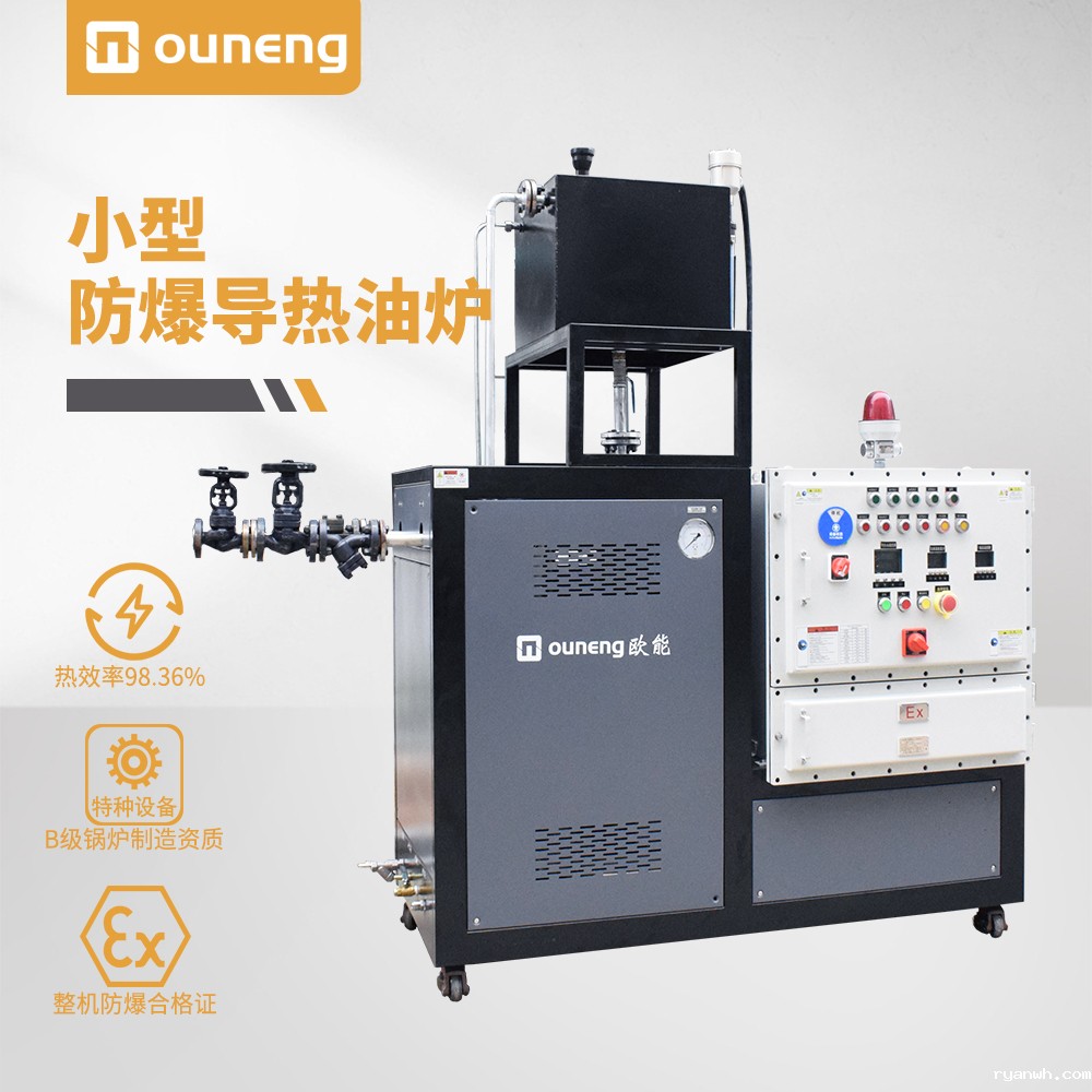 小型防爆导热油炉