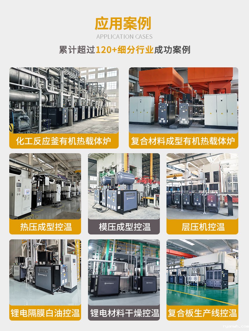 小型有机热载体锅炉案例