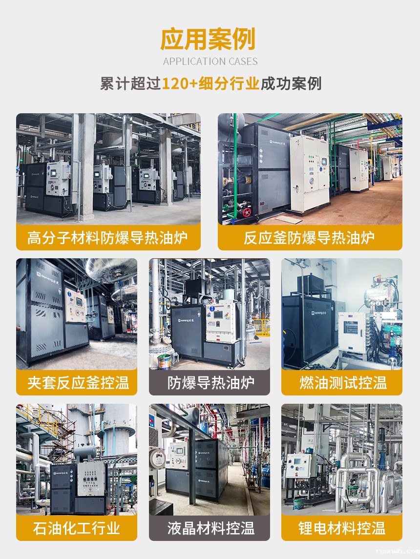 正压防爆导热油炉案例